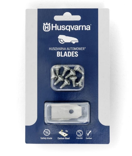 PictureAltAttribute - 577864603-JPG